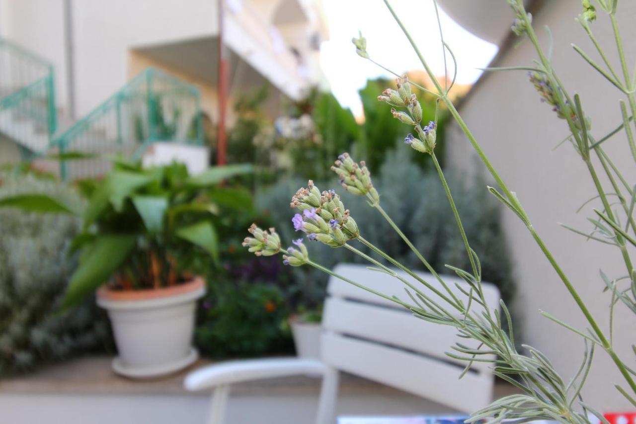 Apartman Nika - Marija Makarska Dış mekan fotoğraf